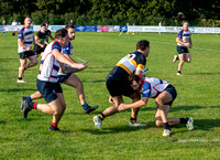 IMG_0240
