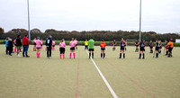 Hockey Ladies 1st November 9